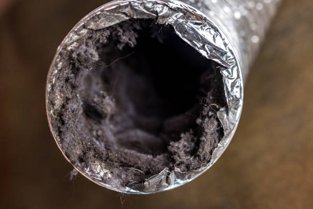 Best Local Air Duct Cleaning Services  in Chauvin, LA